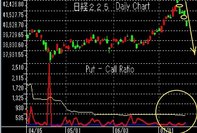 12月21日以降put-call.jpg