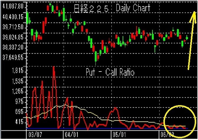 12月21日以降put-call.jpg