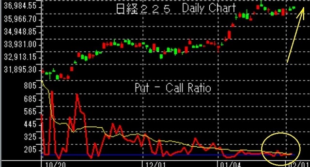 12月21日以降put-call.jpg