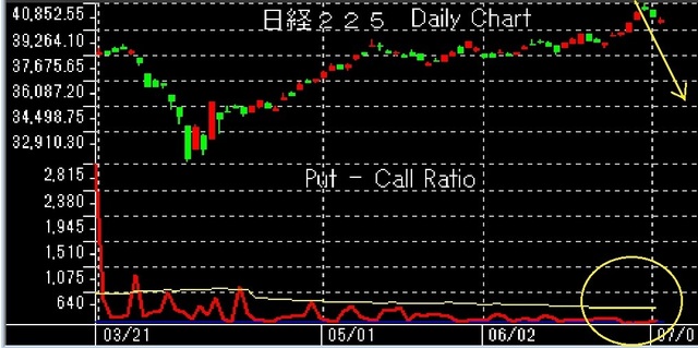 12月21日以降put-call.jpg